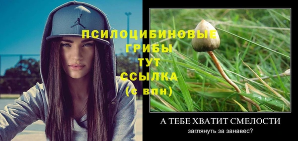 Альфа ПВП Алзамай